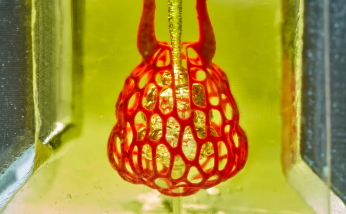 3D Printing Human organ
